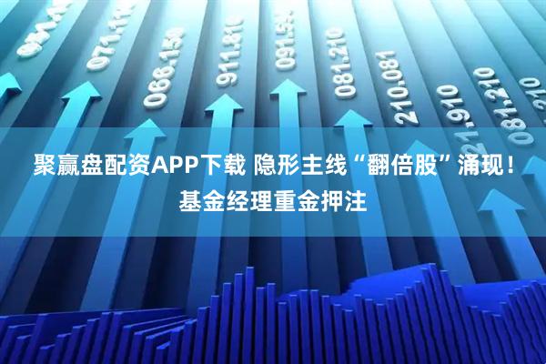 聚赢盘配资APP下载 隐形主线“翻倍股”涌现！基金经理重金押注